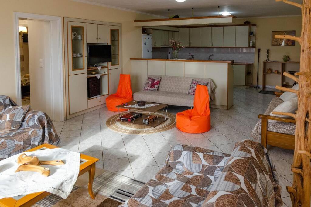 Appartamento Dimitri'S Mountain House Karpenísion Esterno foto